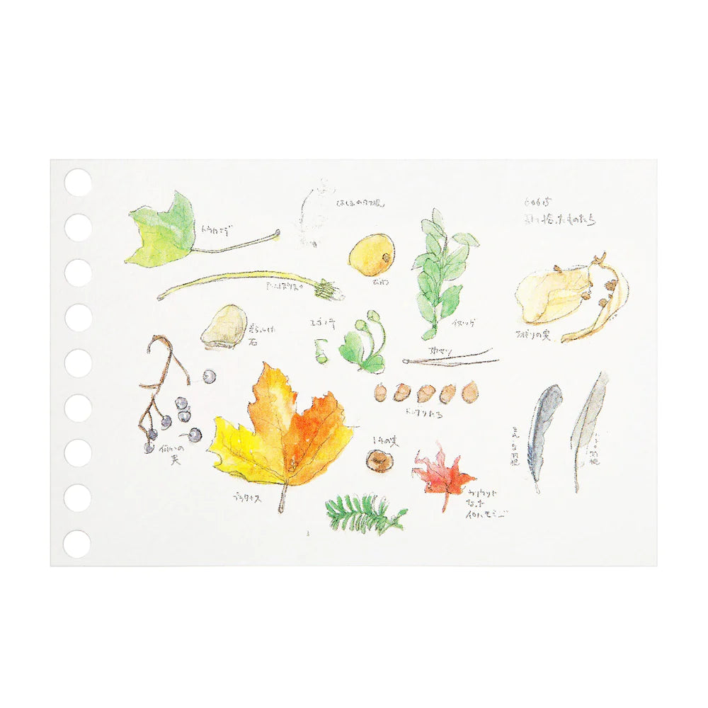 Loose Leaf mini B7 - Papel para Dibujo