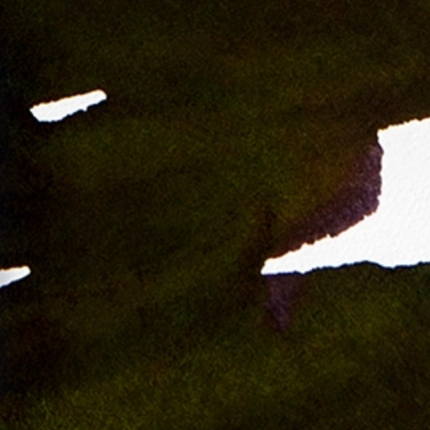 Collection image for: Negro.