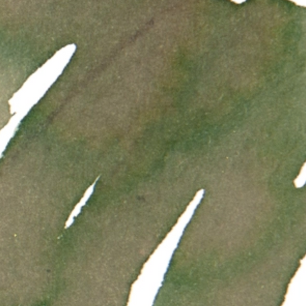 Collection image for: Verde.