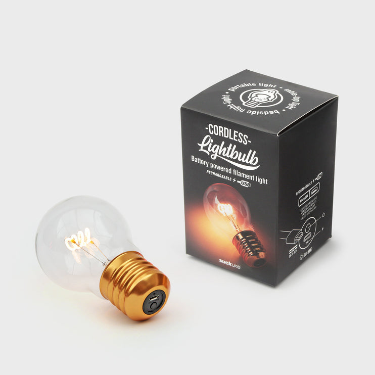 Cordless Lightbulb