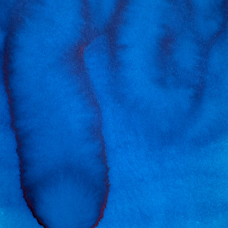 Tinta - Asa Blue