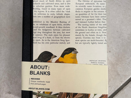 About Blanks - A5 Recover
