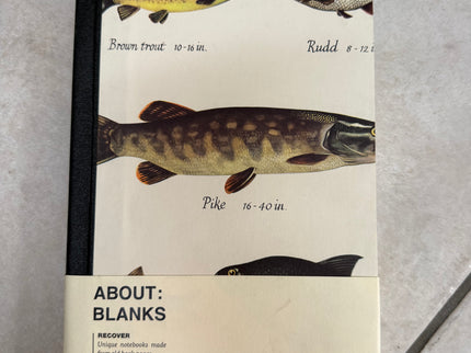 About Blanks - A5 Recover