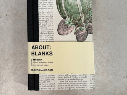 About Blanks - A6 Recover