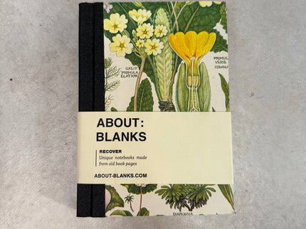About Blanks - A6 Recover