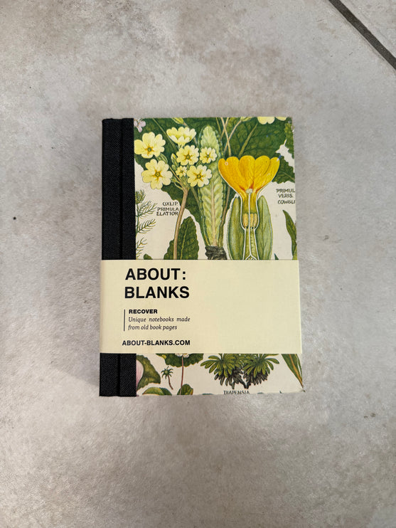 About Blanks - A6 Recover
