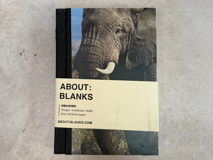 About Blanks - A6 Recover