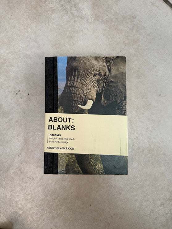 About Blanks - A6 Recover