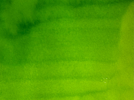 Tinta - Kelly Green
