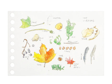 Loose Leaf mini B7 - Papel para Dibujo