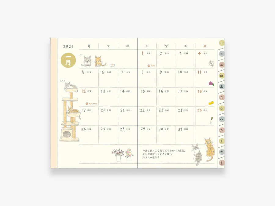 MD Pocket Diary 2026 - Gatos