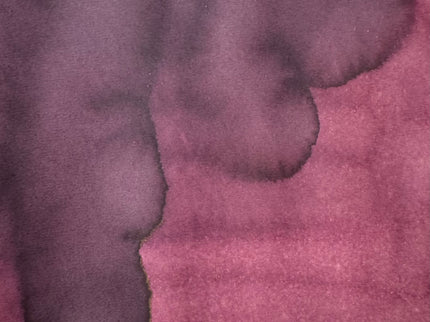Tinta - Merlot