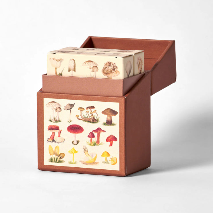 Set de Naipes - Fungi