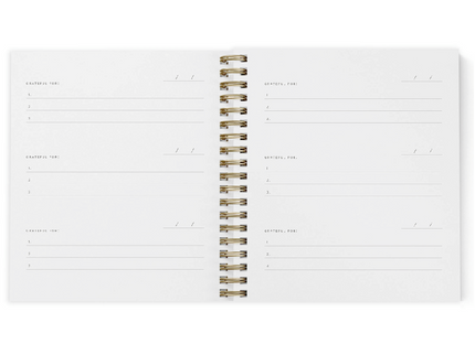 Mini Gratitude Journal - Light Sage