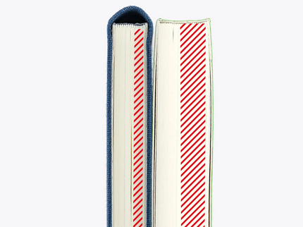 Hobonichi Techo Weeks MEGA 2027 - Sneaker - Lime Green