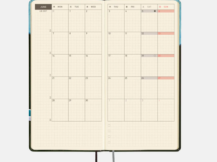 Hobonichi Techo 2027 Weeks - Hiroko Kubota - Meteor Shower in the light blue forest