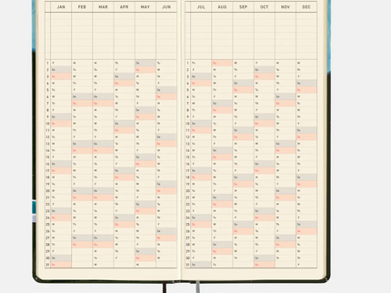 Hobonichi Techo 2027 Weeks - Hiroko Kubota - Meteor Shower in the light blue forest