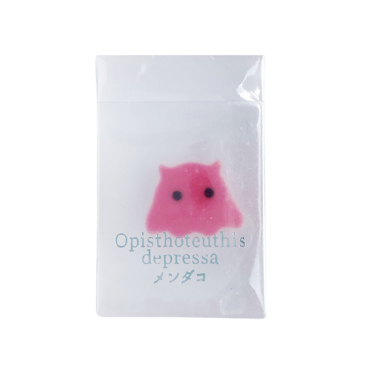 Borradores Sun star - Sea creatures in Ice - Opithoteuthis depressa