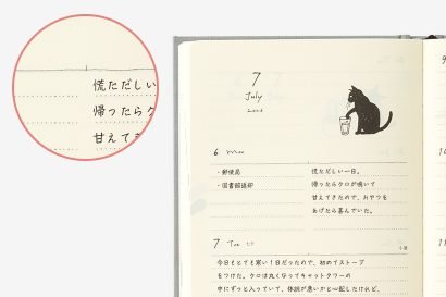 Agenda 2026 - B6 - Gray Cat - ColorSwatch