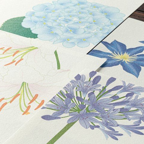 Bloc de papel - Silk - Printing - Summer Flowers - ColorSwatch