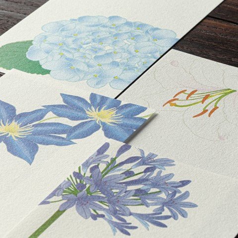 Bloc de papel - Silk - Printing - Summer Flowers (Slim) - ColorSwatch