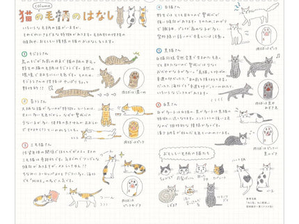 Calendario Colgable 2027 - Gatos - ColorSwatch