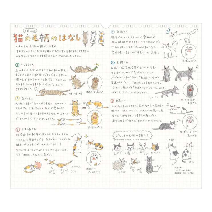 Calendario Colgable 2027 - Gatos - ColorSwatch