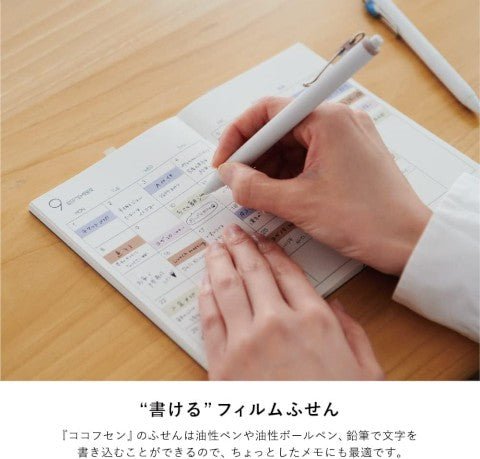 Coco Fusen - Banderines Adhesivos (M) - Colorful - ColorSwatch