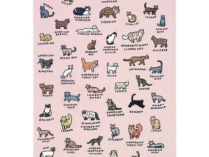 Cuaderno A5 - Cat Dictionary - ColorSwatch