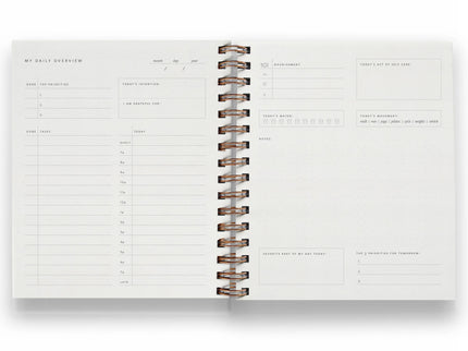 Daily Overview Planner - Dotty