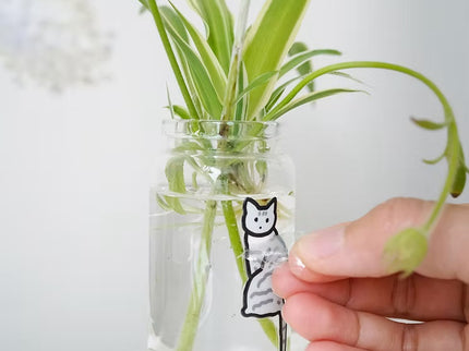 Point Stickers - Cats
