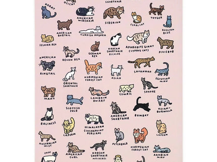 Cuaderno A5 - Cat Dictionary
