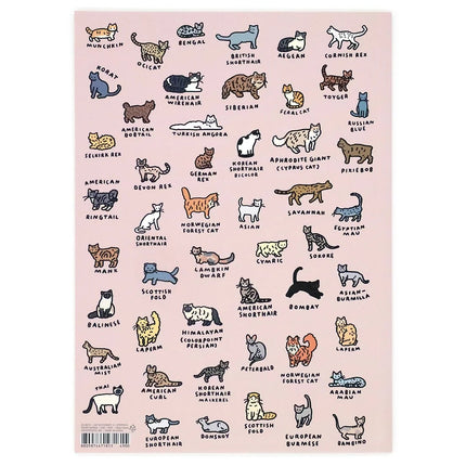 Cuaderno A5 - Cat Dictionary