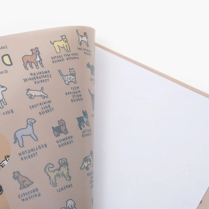 Folder A4 - Cat Dictionary