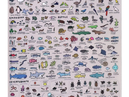Folder A4 - Animal Dictionary