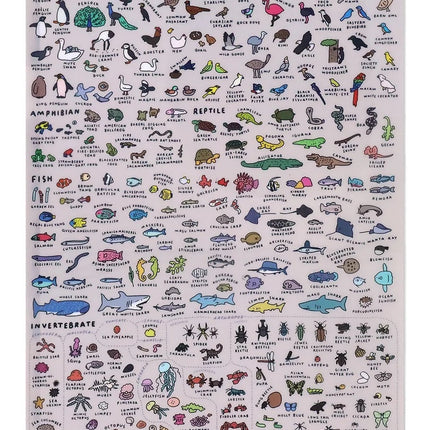 Folder A4 - Animal Dictionary