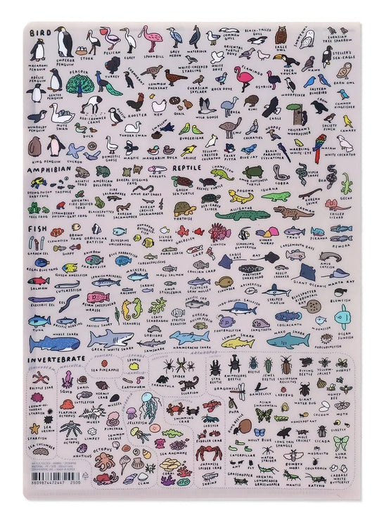 Folder A4 - Animal Dictionary