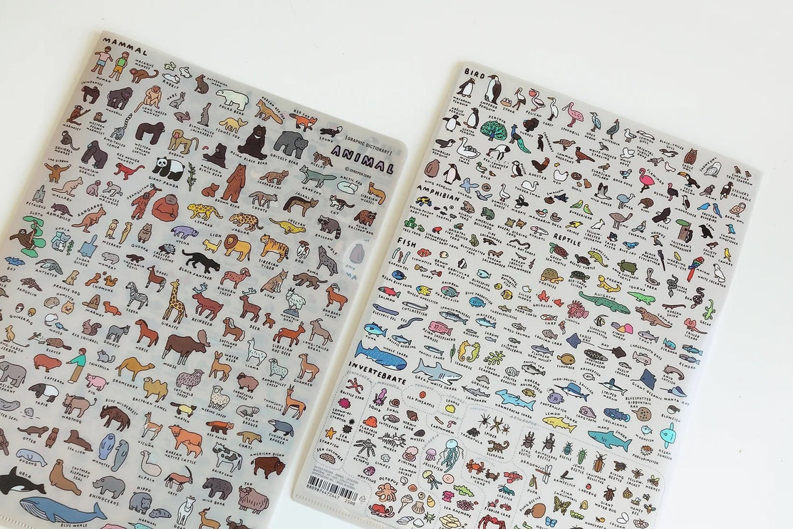 Folder A4 - Animal Dictionary - ColorSwatch