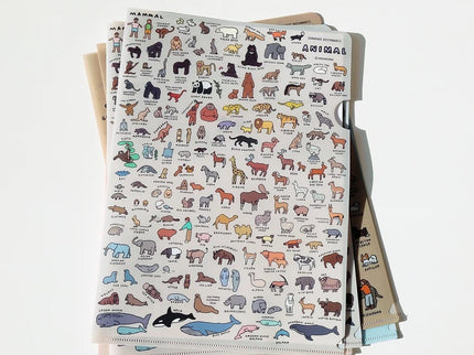 Folder A4 - Animal Dictionary - ColorSwatch