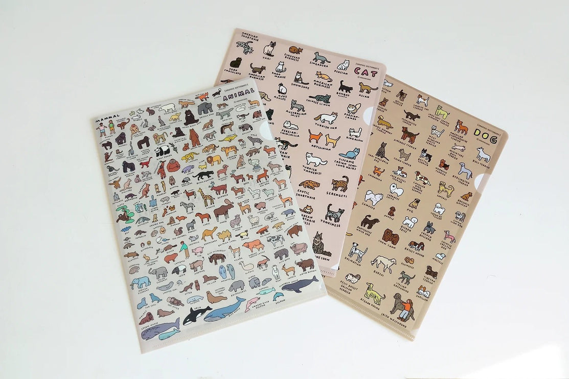 Folder A4 - Animal Dictionary - ColorSwatch