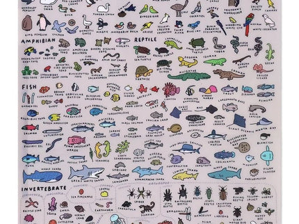 Folder A4 - Animal Dictionary - ColorSwatch