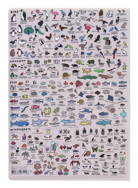 Folder A4 - Animal Dictionary - ColorSwatch