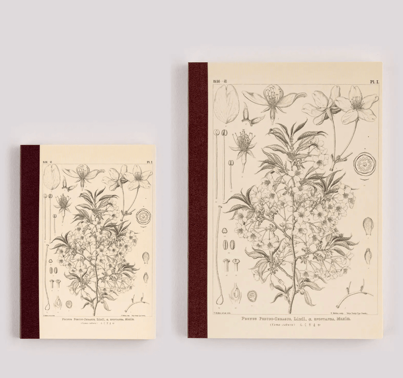Hobonichi Notebook - A5 Cuadrícula - Tomitaro Makino - Yamazakura - ColorSwatch