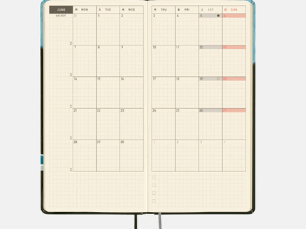 Hobonichi Techo 2027 Weeks - Hiroko Kubota - Meteor Shower in the light blue forest - ColorSwatch