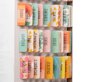 Bible Tabs - Alegria