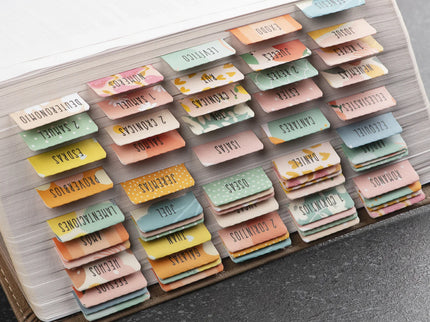 Bible Tabs - Alegria