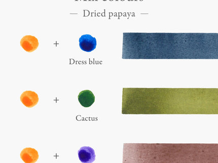 Inkstand Ink - 08 Dried Papaya - ColorSwatch