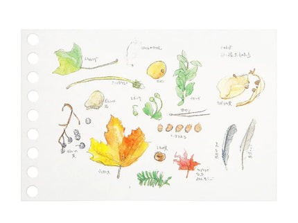 Loose Leaf mini B7 - Papel para Dibujo - ColorSwatch