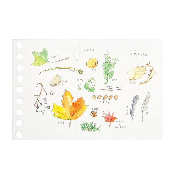 Loose Leaf mini B7 - Papel para Dibujo - ColorSwatch