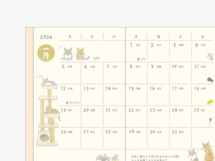 MD Pocket Diary 2026 - Gatos - ColorSwatch